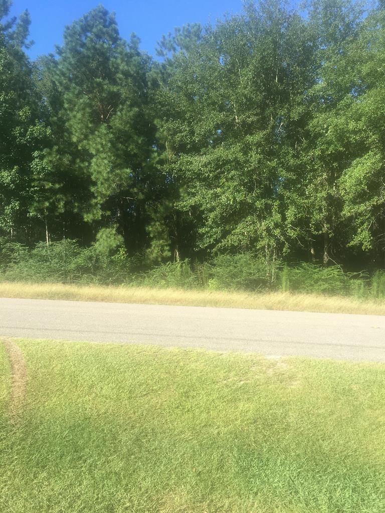 0 Sowell Road Dothan, AL 36301 - Photo 1 of 1