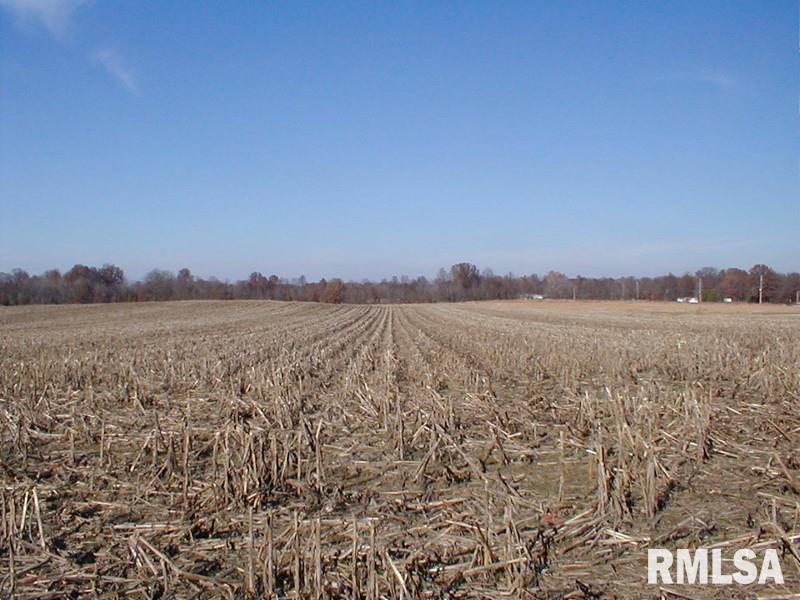 0 Allen Road Carterville, IL 62918 - Photo 1 of 1 Gallery Image 1