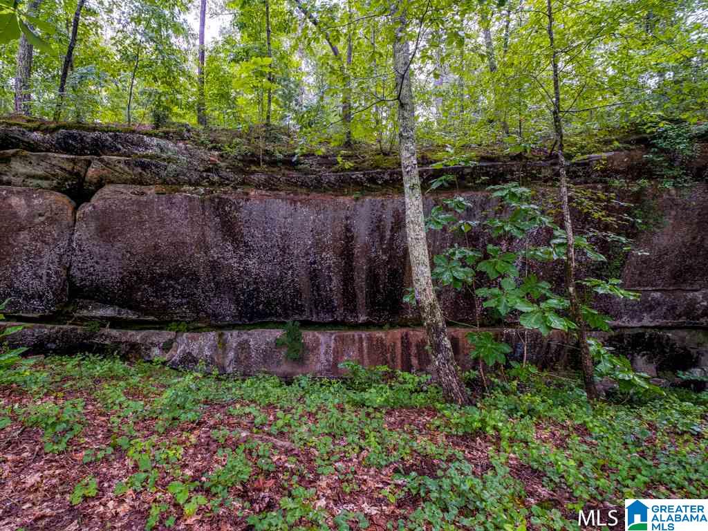 Long Leaf Road, Unit 9 Double Springs, AL 35553 - Photo 12 of 15