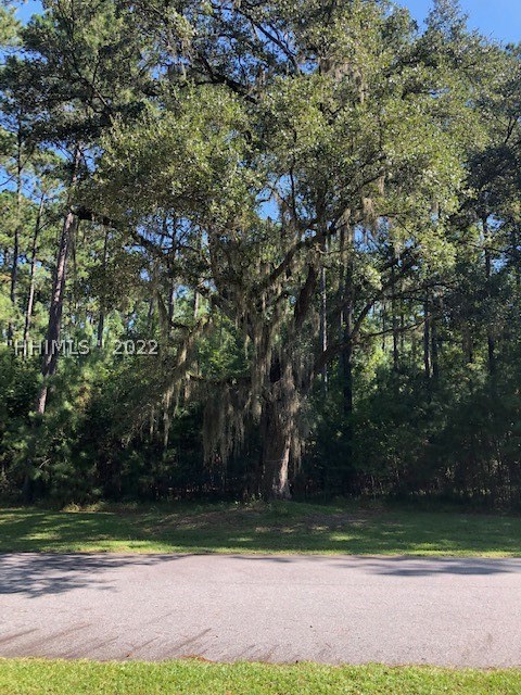 8 Meeting House Road Okatie, SC 29909 - Photo 1 of 1 Gallery Image 1
