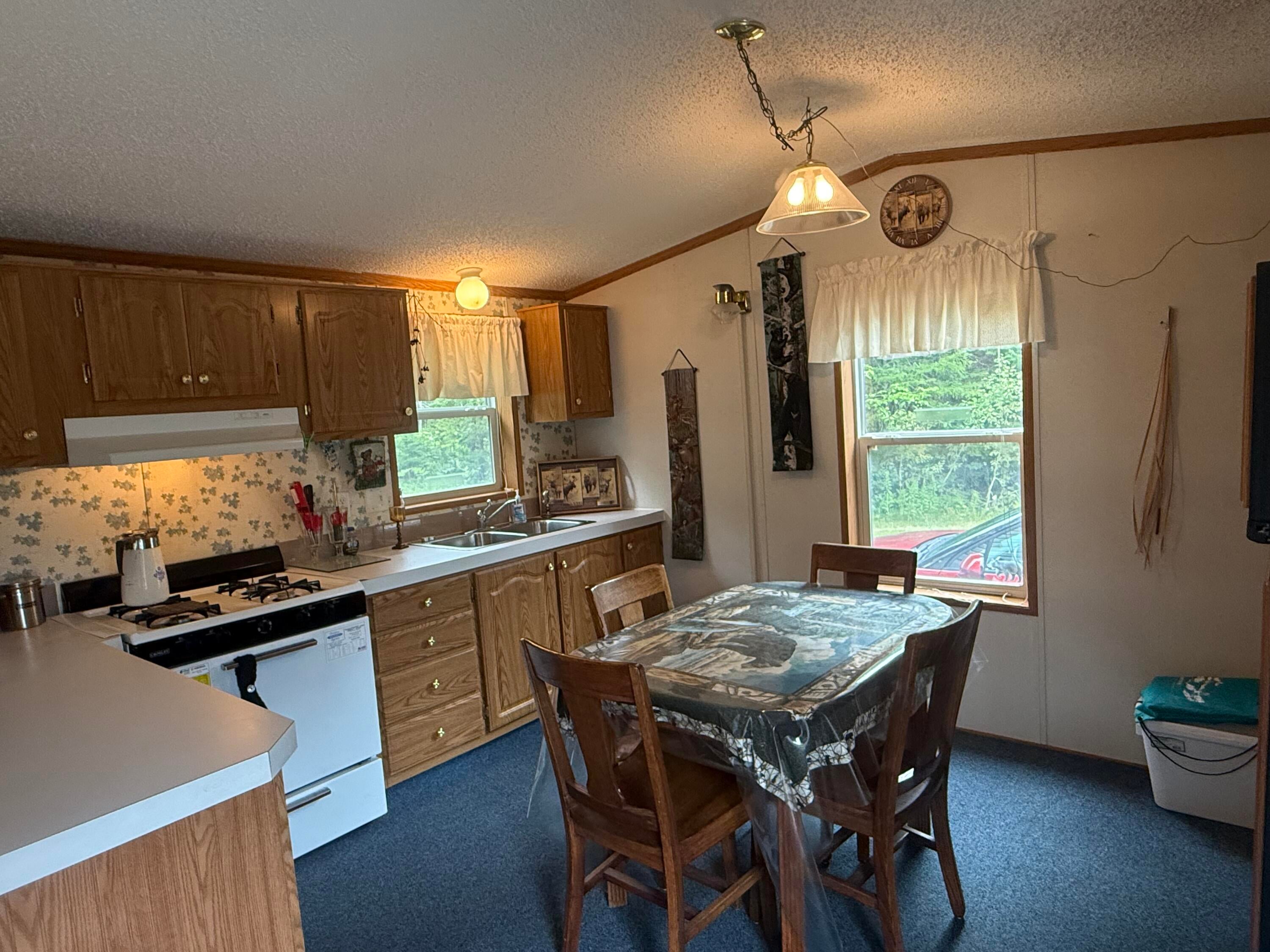 6906 South North Hulbert Road Hulbert, MI 49748 - Photo 17 of 40 Gallery Image 17