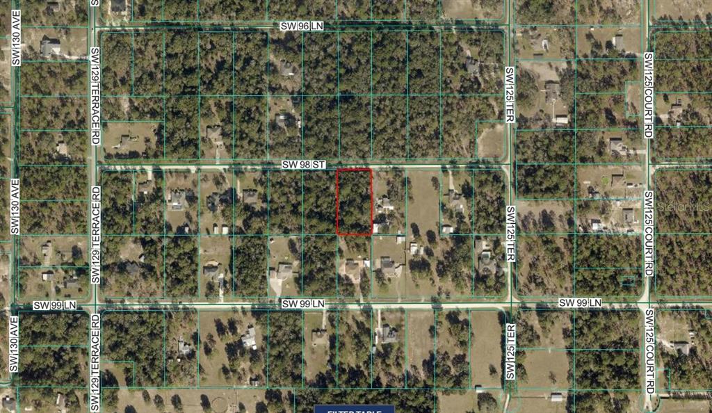 Tbd Southwest 98th Street Dunnellon, FL 34432 - Photo 2 of 2