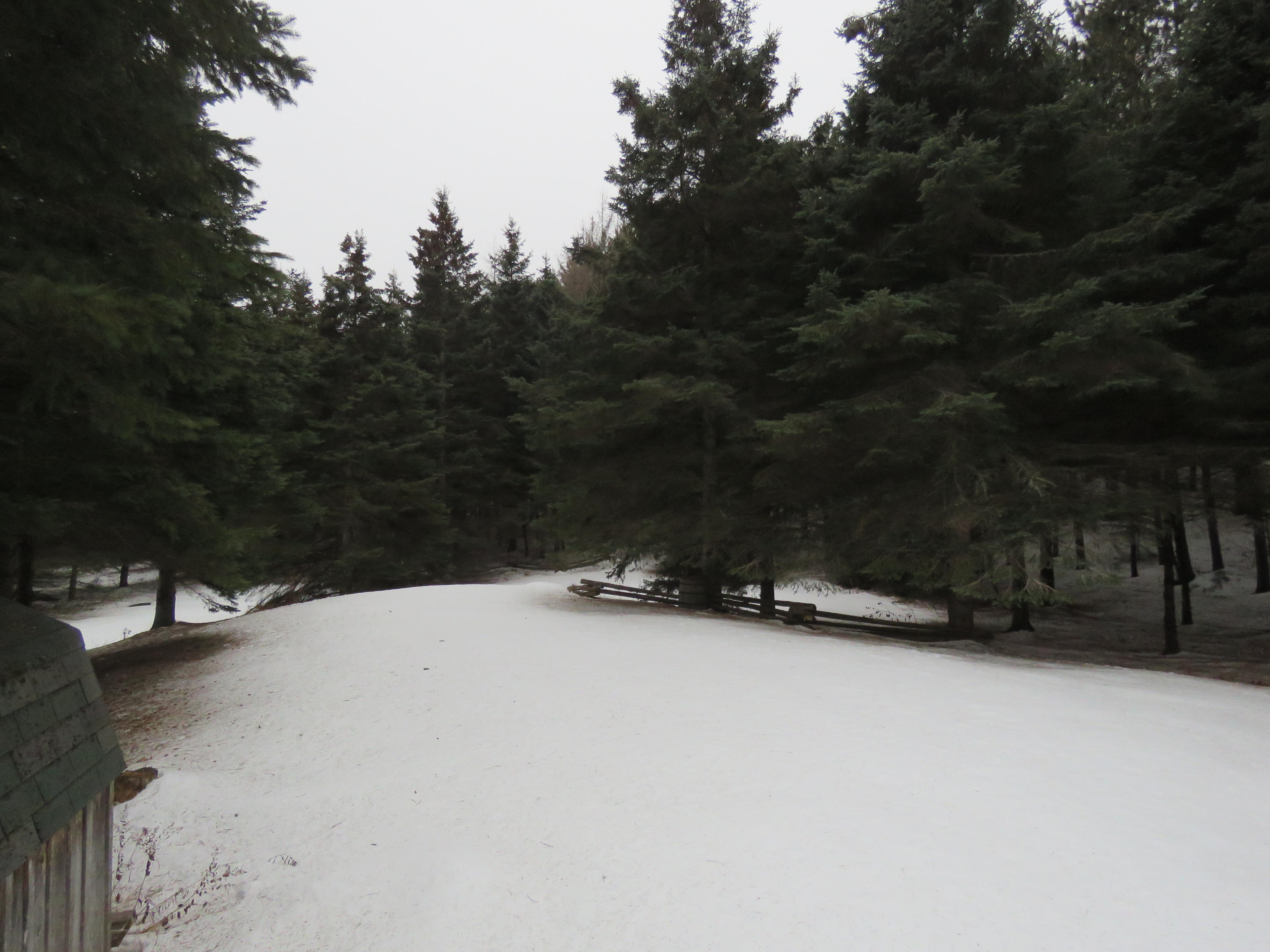 16 White Road Presque Isle, ME 04769 - Photo 5 of 13 IMG_8017