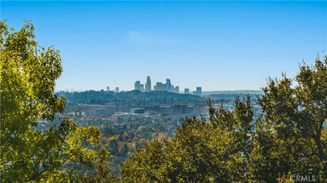a view of a palm tree in a yard