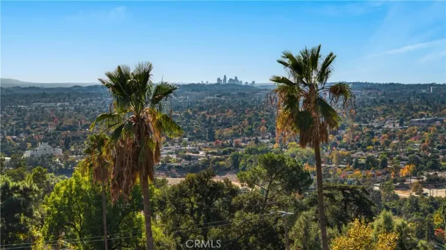 a view of a palm tree in a yard