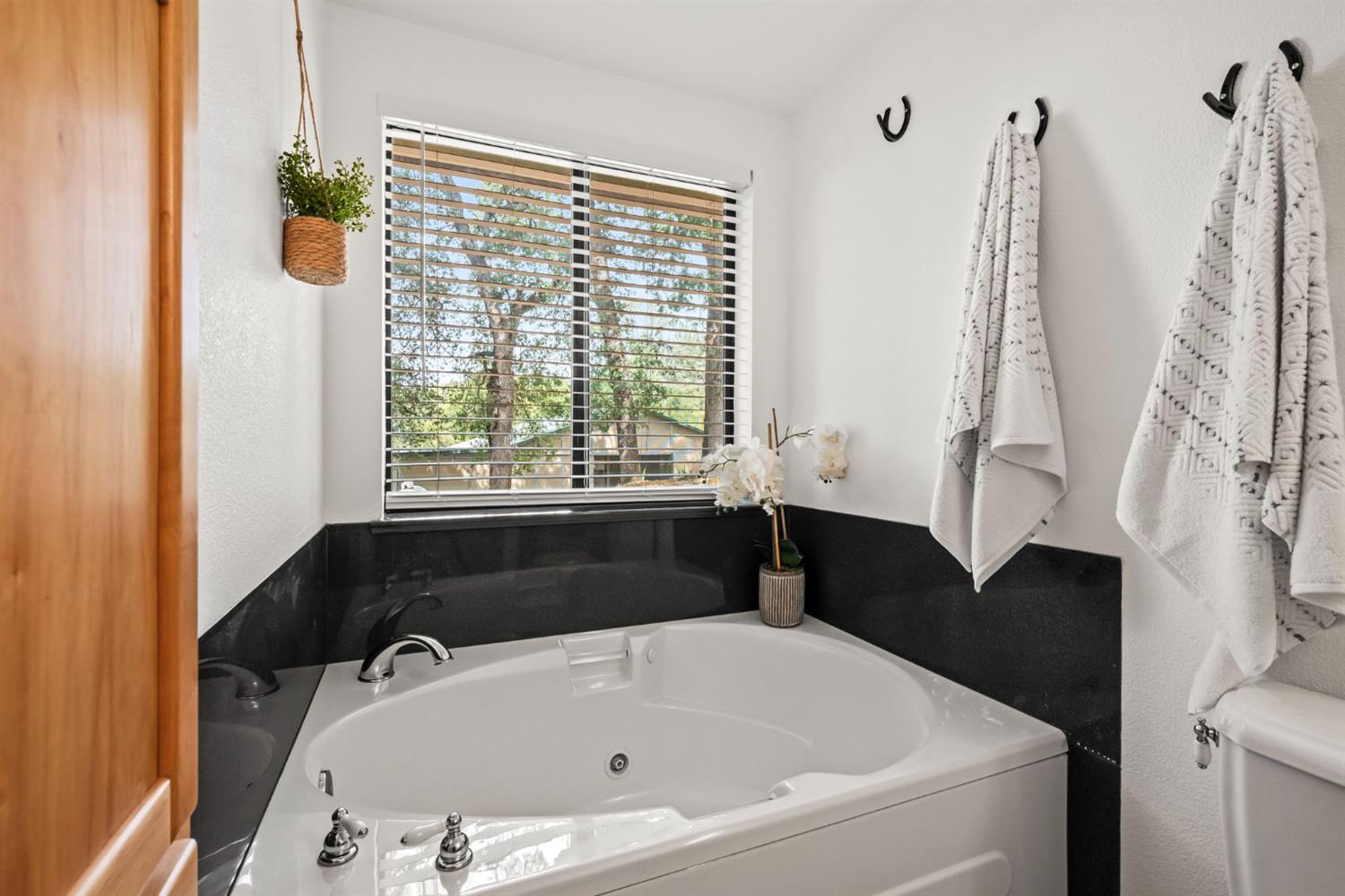 3700 Springer Road Placerville, CA 95667 - Photo 19 of 54