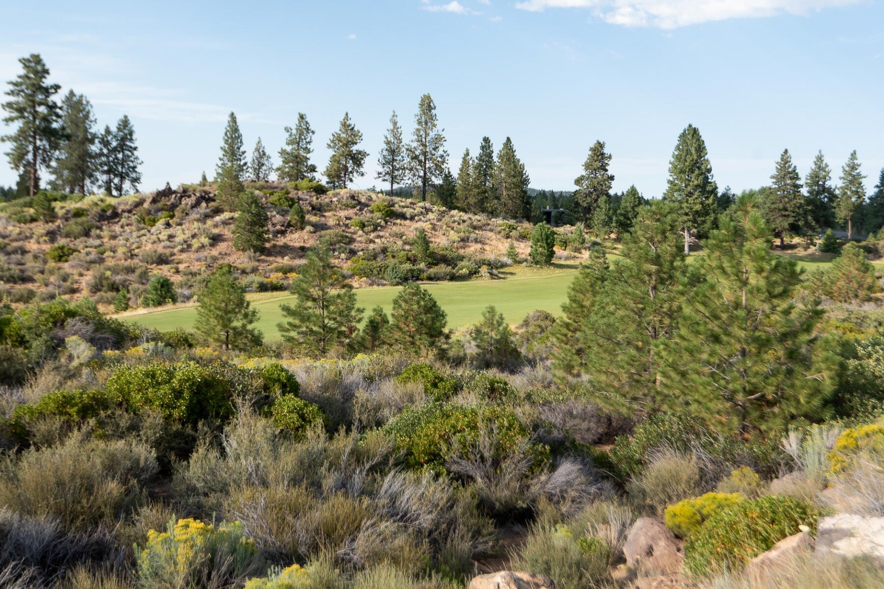 61353 Triple Knot Road Bend, OR 97702 - Photo 42 of 42 batch_42
