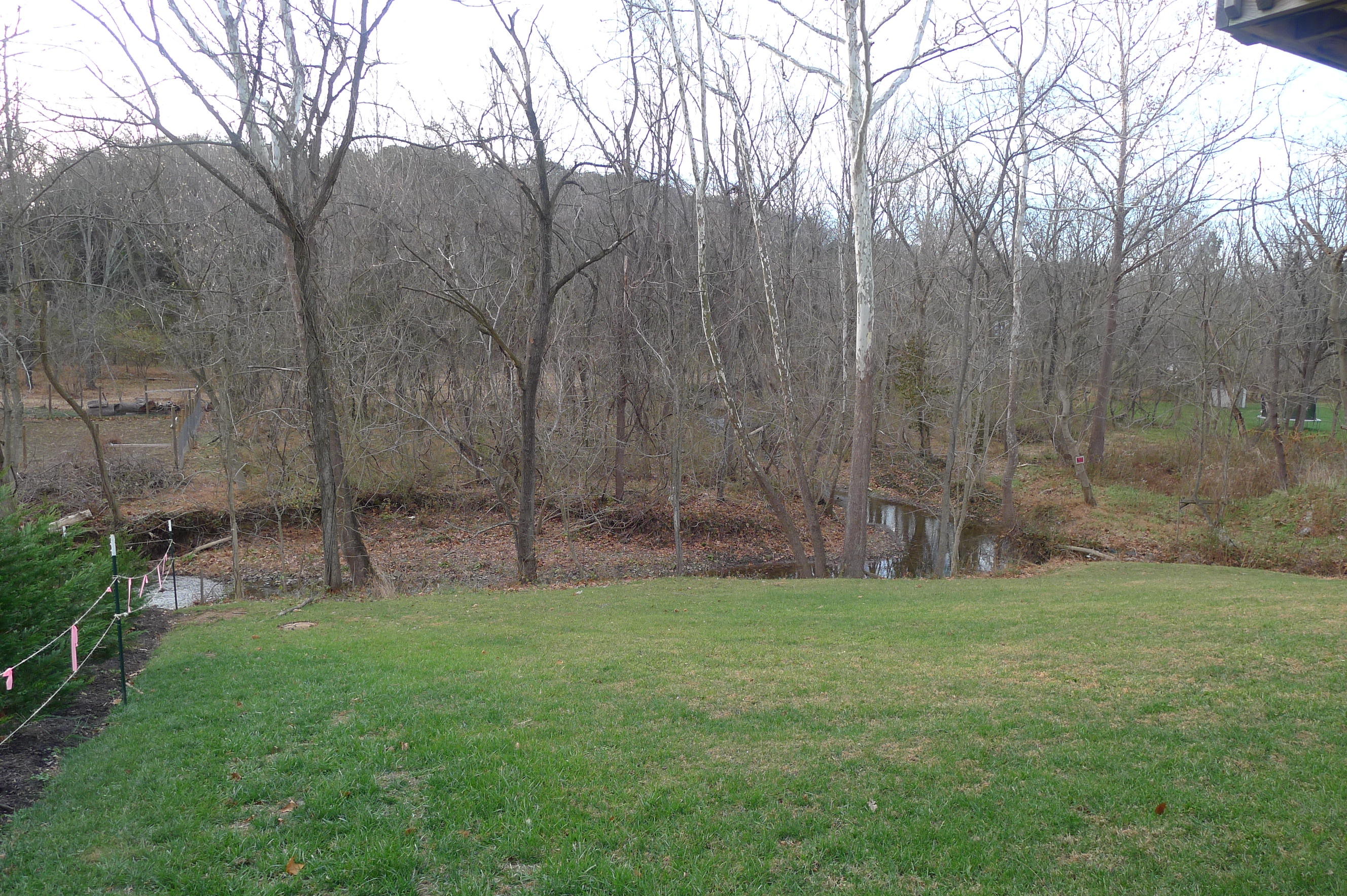 2850 Green Ridge Road Northwest Roanoke, VA 24019 - Photo 3 of 30 a view of a backyard with large trees