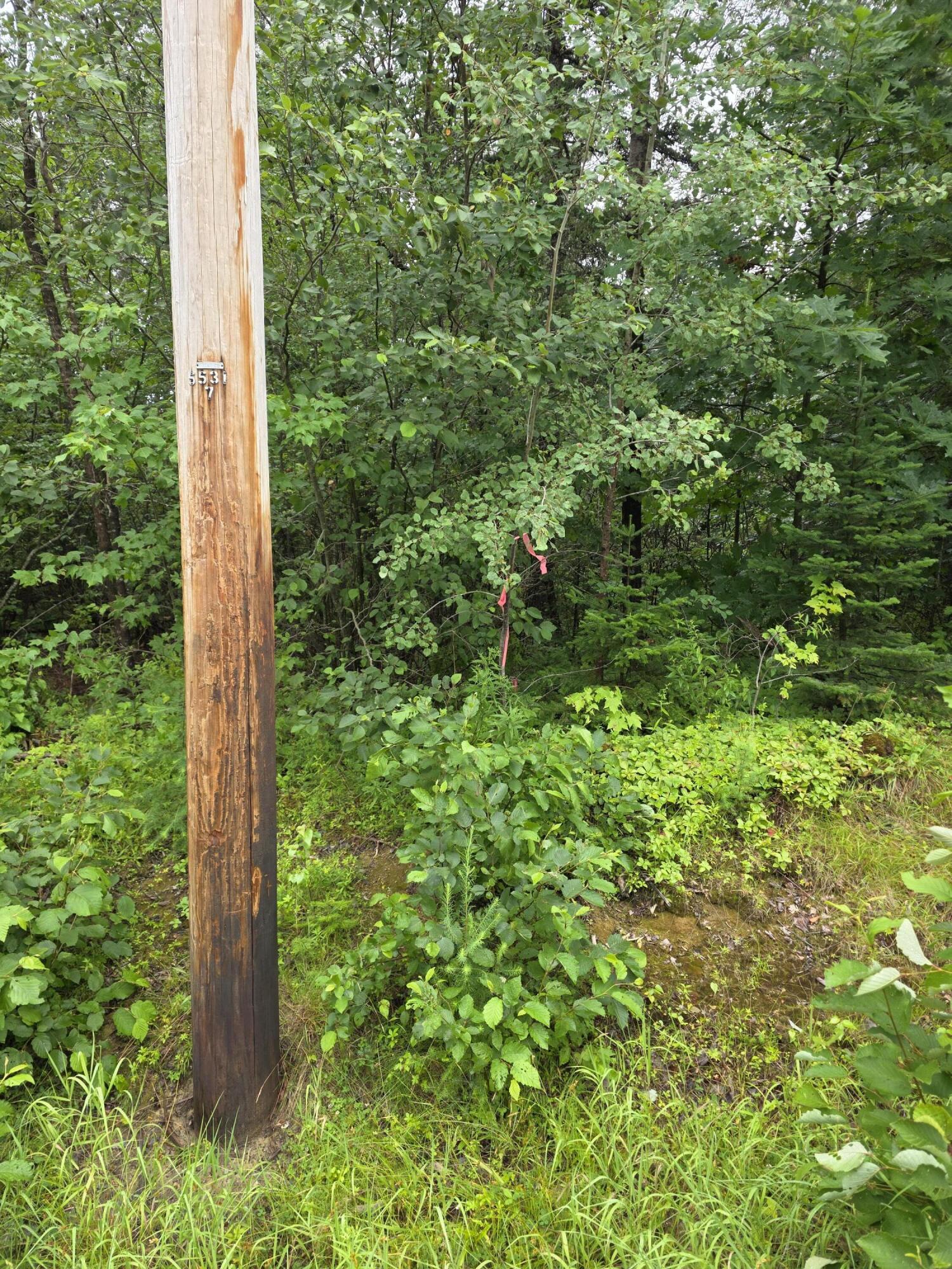 10 Station Road Charlotte, ME 04666 - Photo 6 of 7 20260722_115503