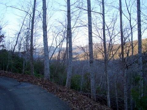 8182 Red Maple Lane Big Canoe, GA 30143 - Photo 2 of 3 a backyard of a house with lots of green space