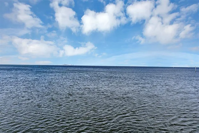 $661,000 | 1115 Seagrape Drive, Ruskin, FL 33570