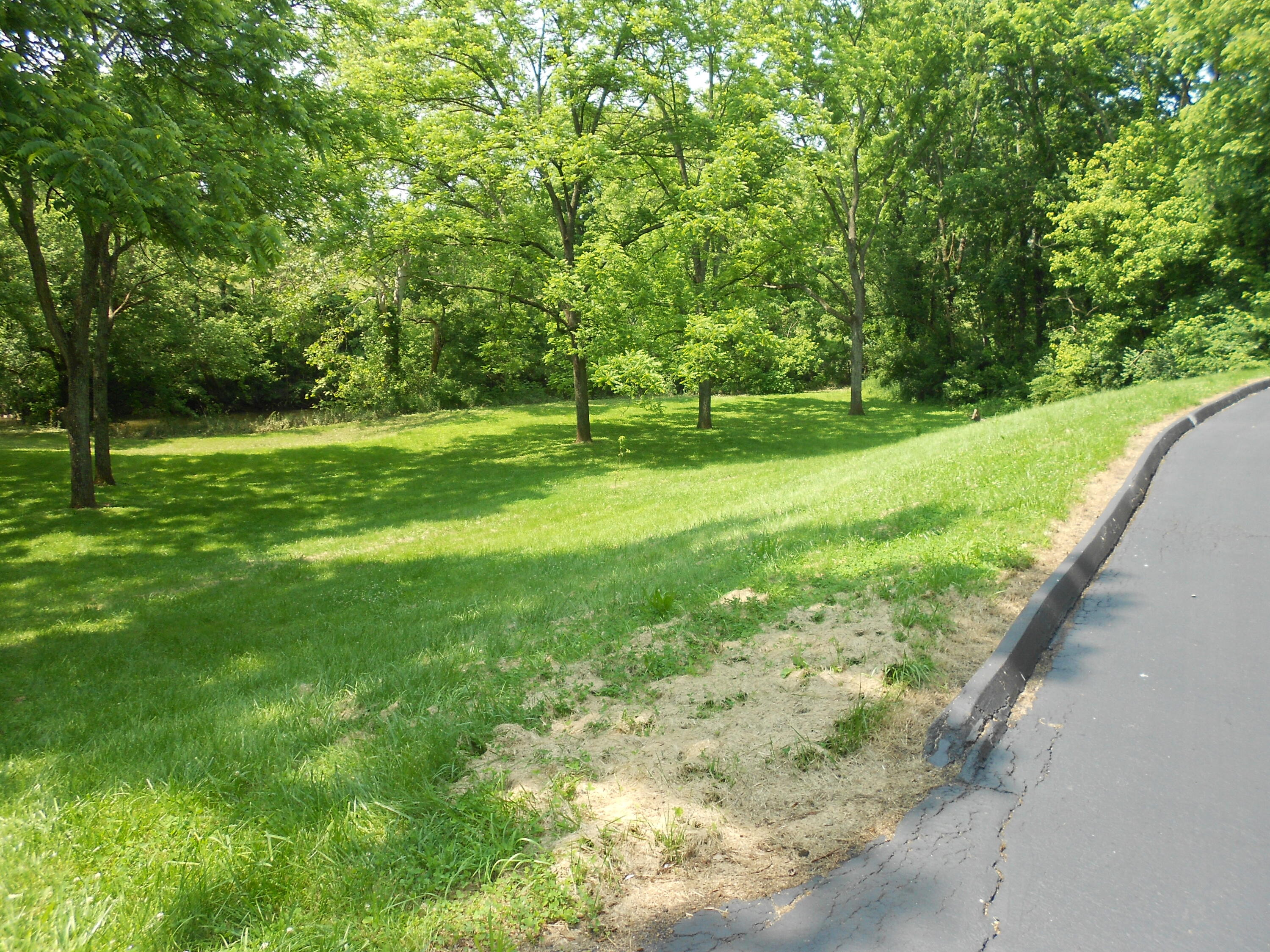 2962 North Middletown Road Paris, KY 40361 - Photo 9 of 39 DSCN5035