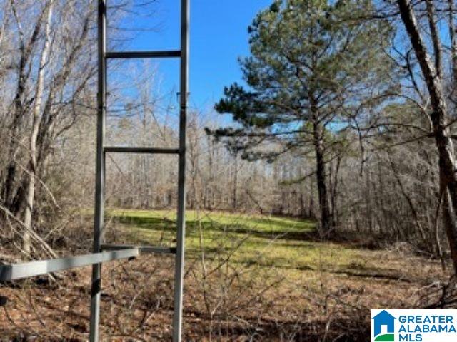 820 County Road, Unit 193 Roanoke, AL 36274 - Photo 14 of 15