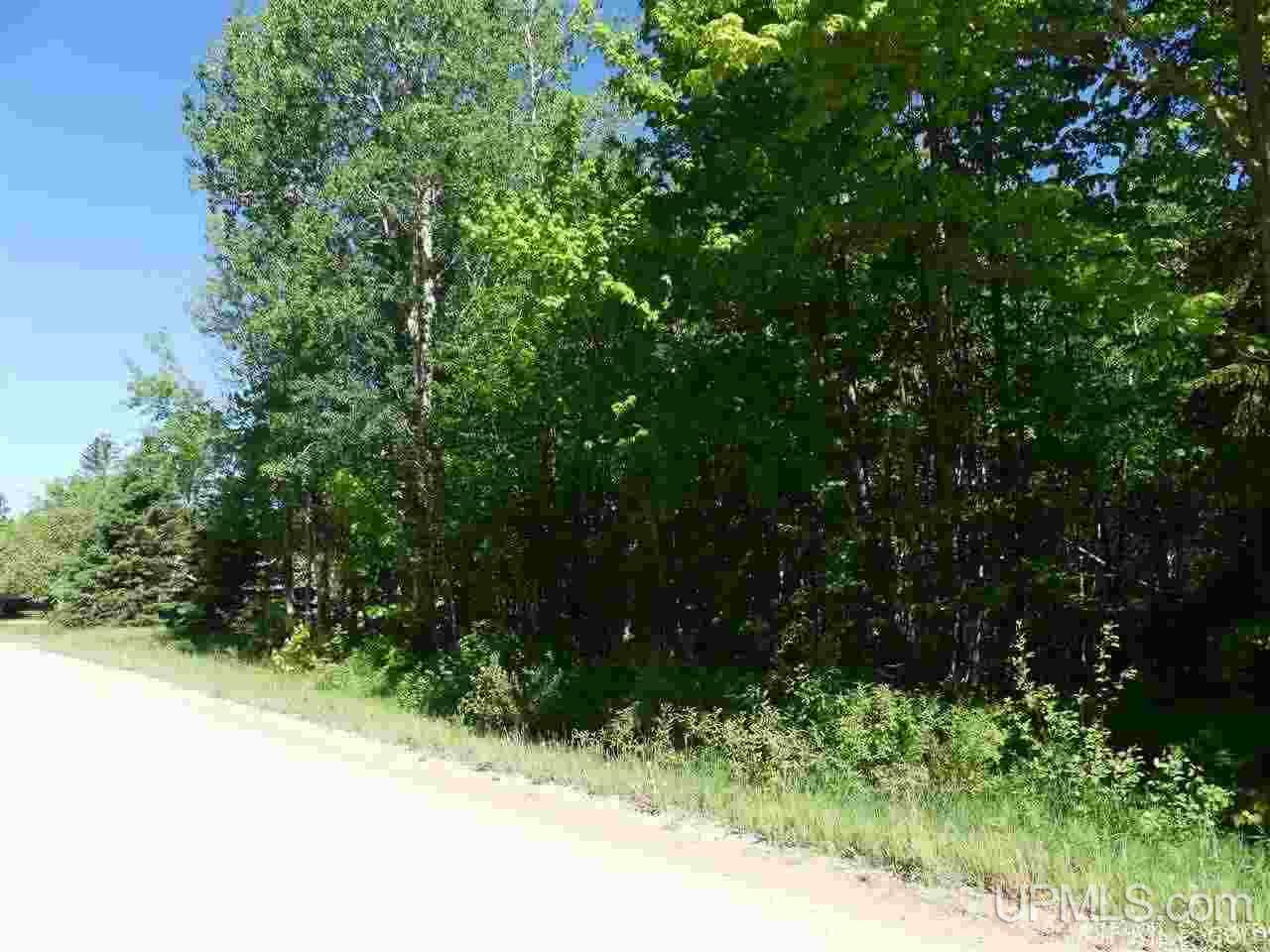 No # East No Road Grand Marais, MI 49839 - Photo 11 of 12
