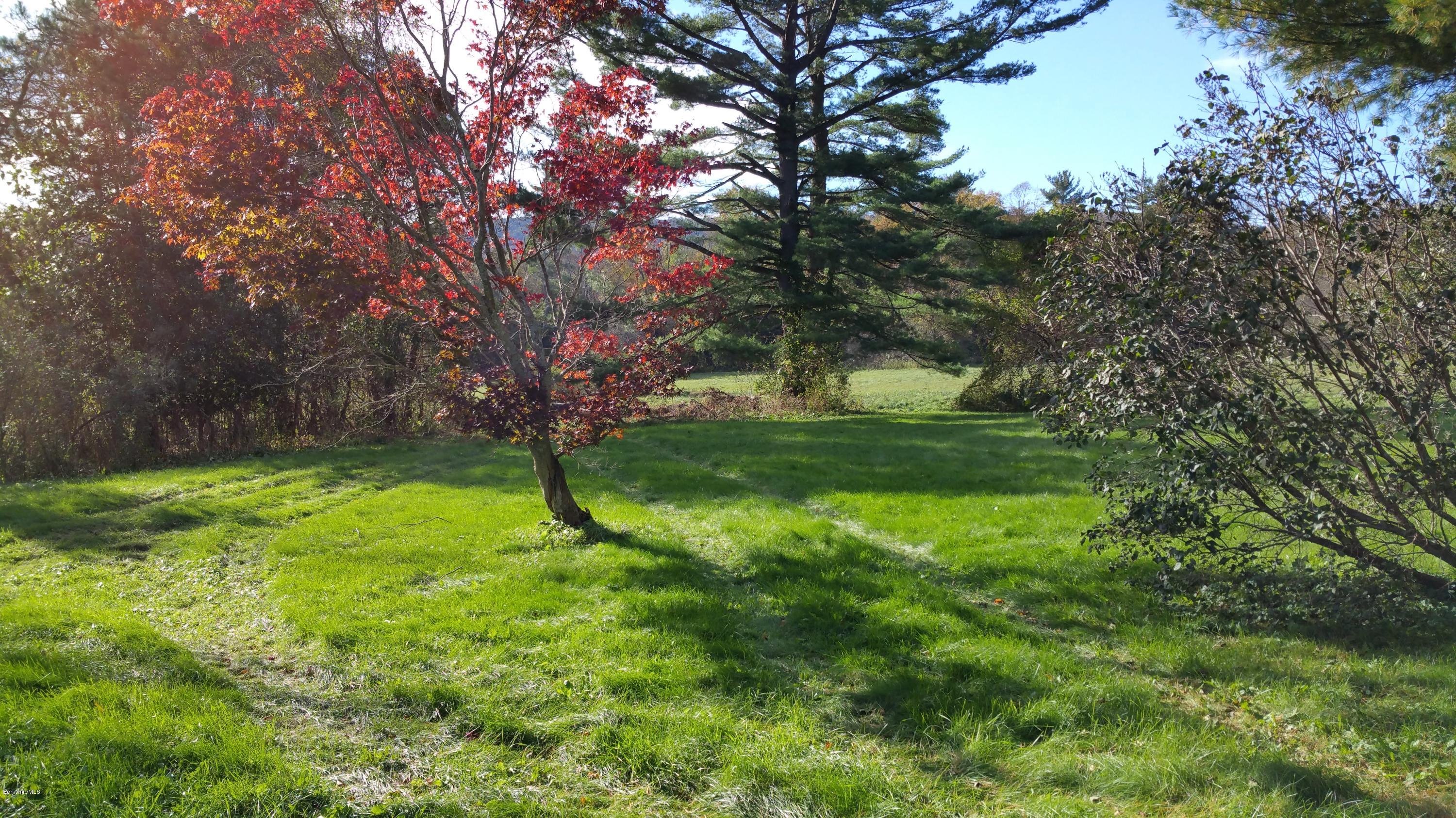 198 State Road Richmond, MA 01201 - Photo 23 of 27 a green field with lots of bushes
