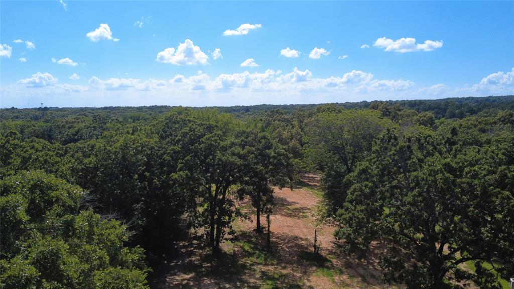 15 Oak Ridge Circle Malakoff, TX 75148 - Photo 3 of 9 Expansive wooded acreage featuring mature trees and a cleared path
