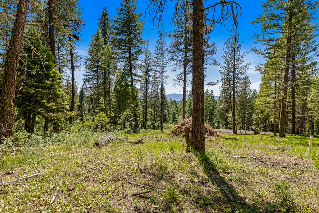 2 Spruce Hill Road, Unit 6 McCall, ID 83638 - Photo 3 of 20