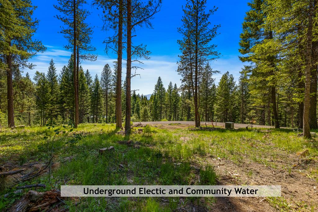 2 Spruce Hill Road, Unit 6 McCall, ID 83638 - Photo 4 of 20