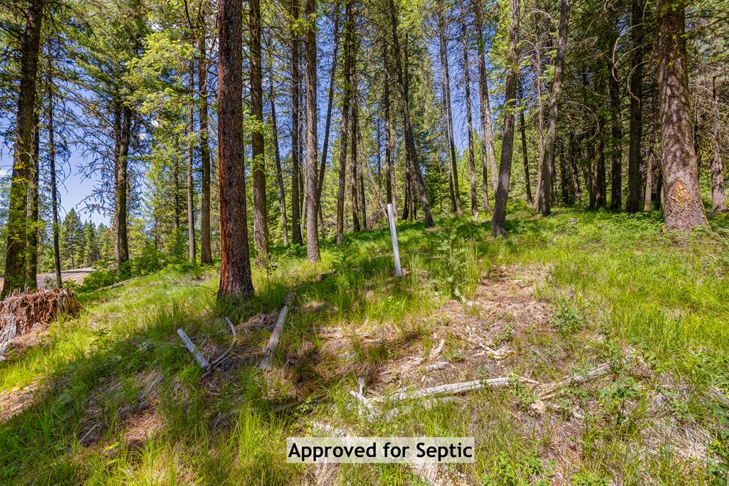 2 Spruce Hill Road, Unit 6 McCall, ID 83638 - Photo 5 of 20