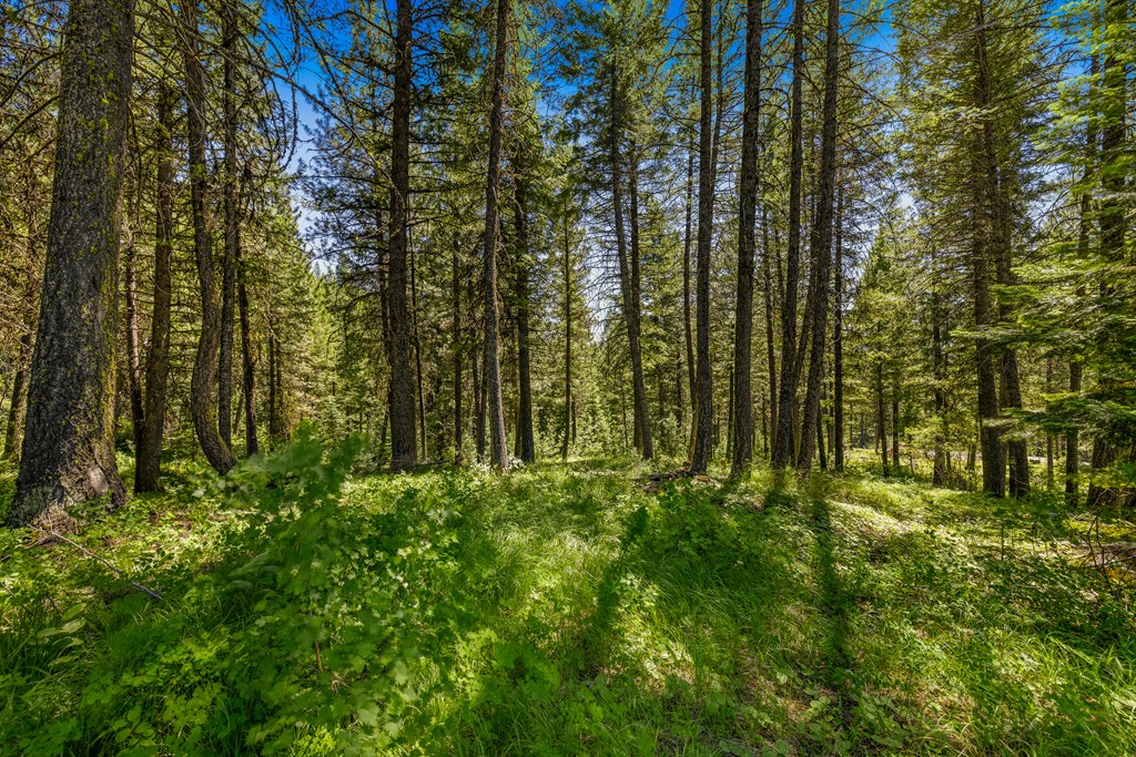 2 Spruce Hill Road, Unit 6 McCall, ID 83638 - Photo 9 of 20