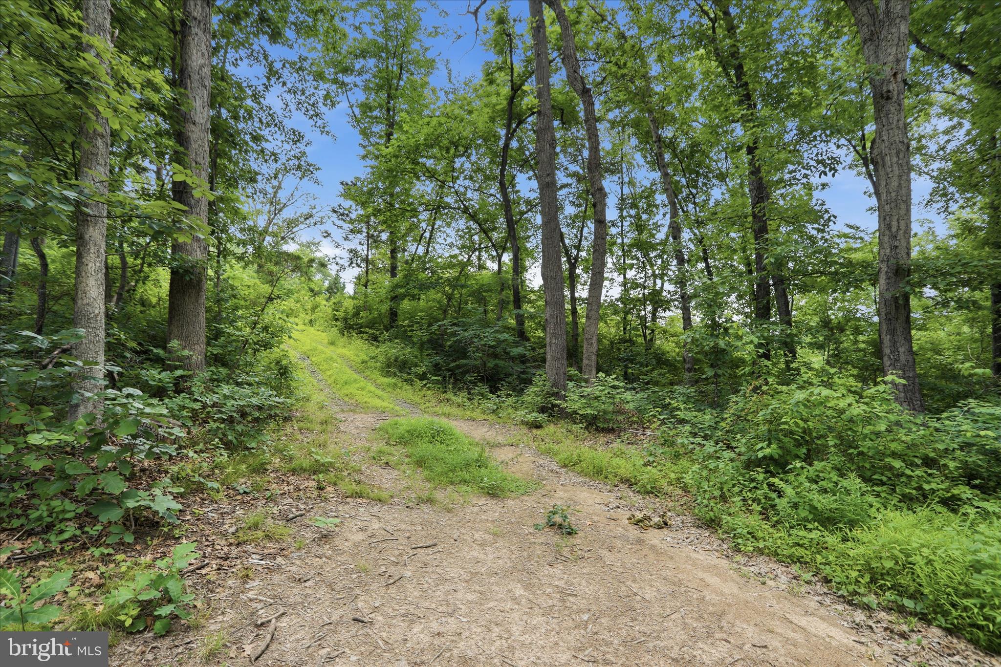 Messick Road Strasburg, VA 22657 - Photo 15 of 22