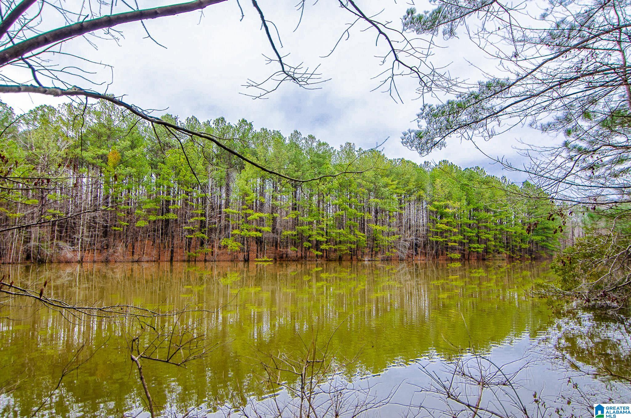 7 High Mesa Circle, Unit 7 Chelsea, AL 35043 - Photo 4 of 14