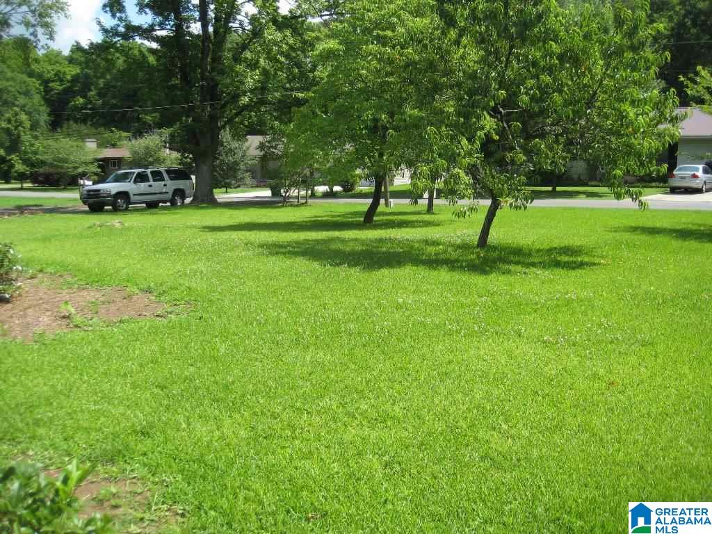1295 Katherine Street Leeds, AL 35094 - Photo 3 of 18