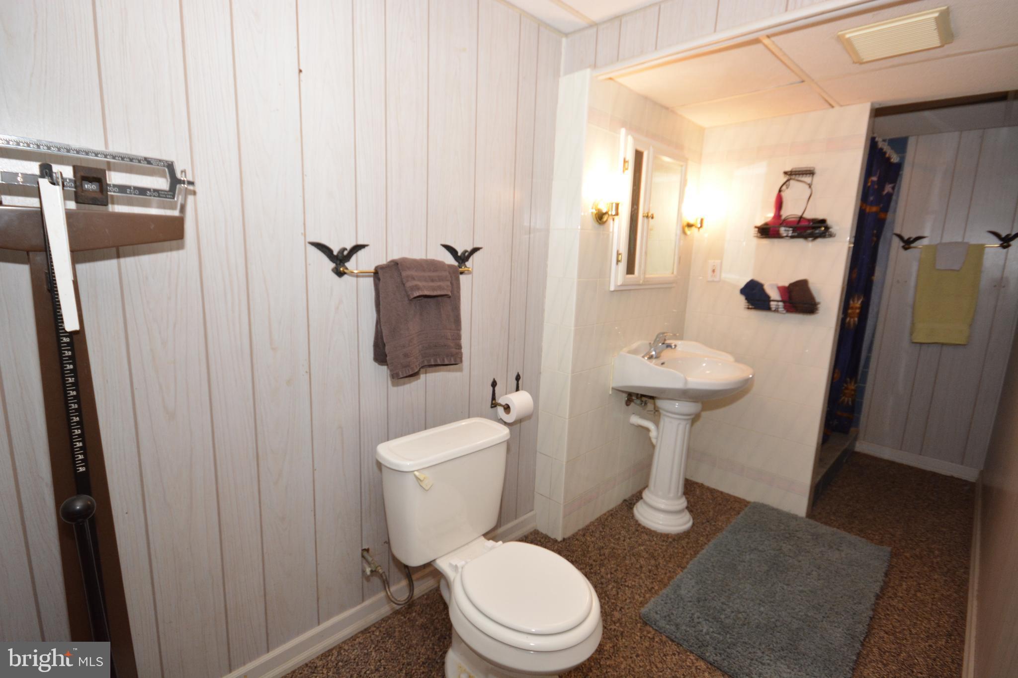 409 Hain Road Reading, PA 19608 - Photo 33 of 38 LL Full Bath