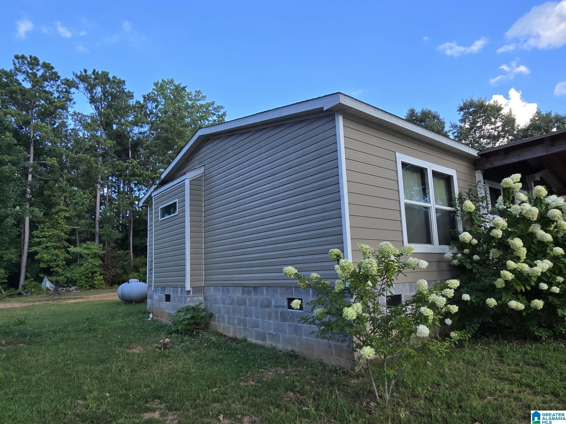 2301 County Road 79 Wadley, AL 36276 - Photo 3 of 21