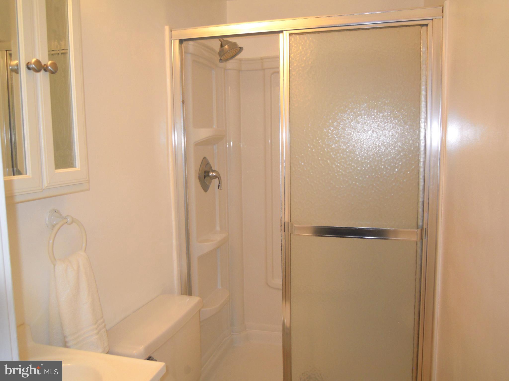 3920 Millner Road Baltimore, MD 21236 - Photo 14 of 30 Bath enclosure w/glass doors