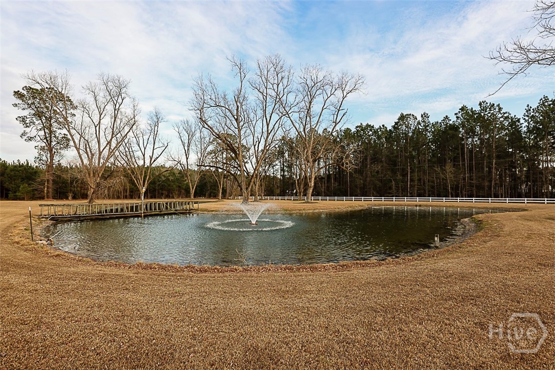 307 Chester Thomas Road Springfield, GA 31329 - Photo 11 of 54