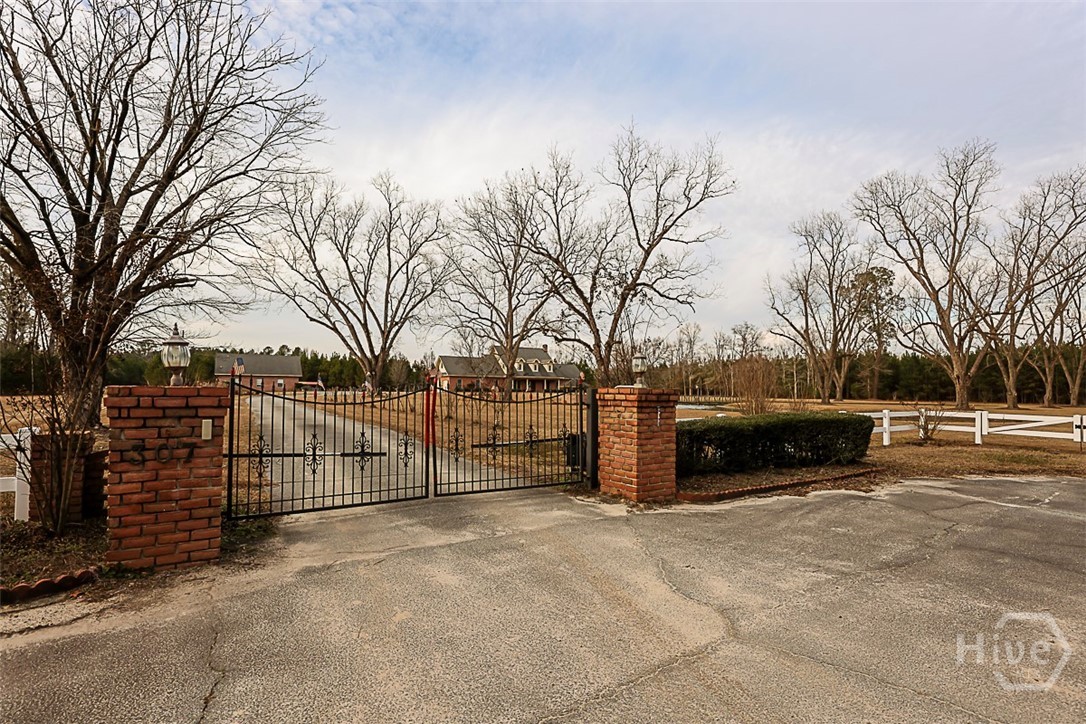 307 Chester Thomas Road Springfield, GA 31329 - Photo 3 of 54