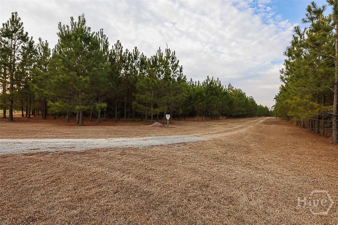 307 Chester Thomas Road Springfield, GA 31329 - Photo 49 of 54