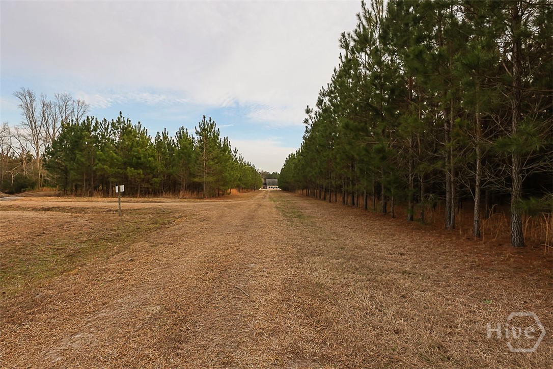 307 Chester Thomas Road Springfield, GA 31329 - Photo 50 of 54