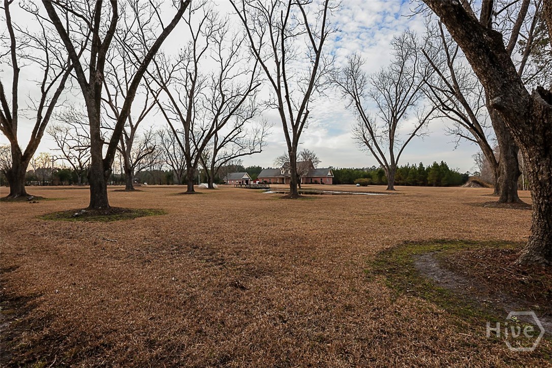 307 Chester Thomas Road Springfield, GA 31329 - Photo 5 of 54