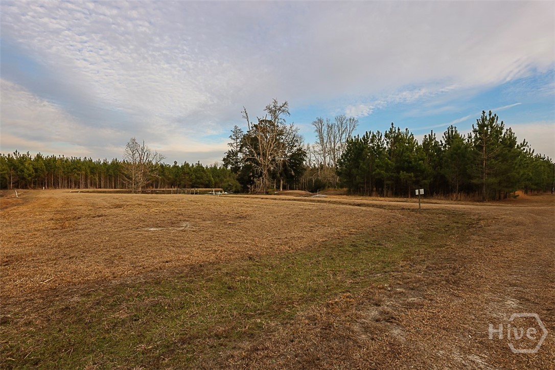 307 Chester Thomas Road Springfield, GA 31329 - Photo 53 of 54