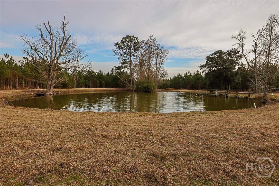 307 Chester Thomas Road Springfield, GA 31329 - Photo 54 of 54