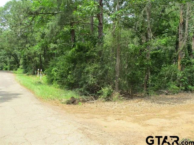 $129,900 | 3200 Block Cr, Overton, TX 75684