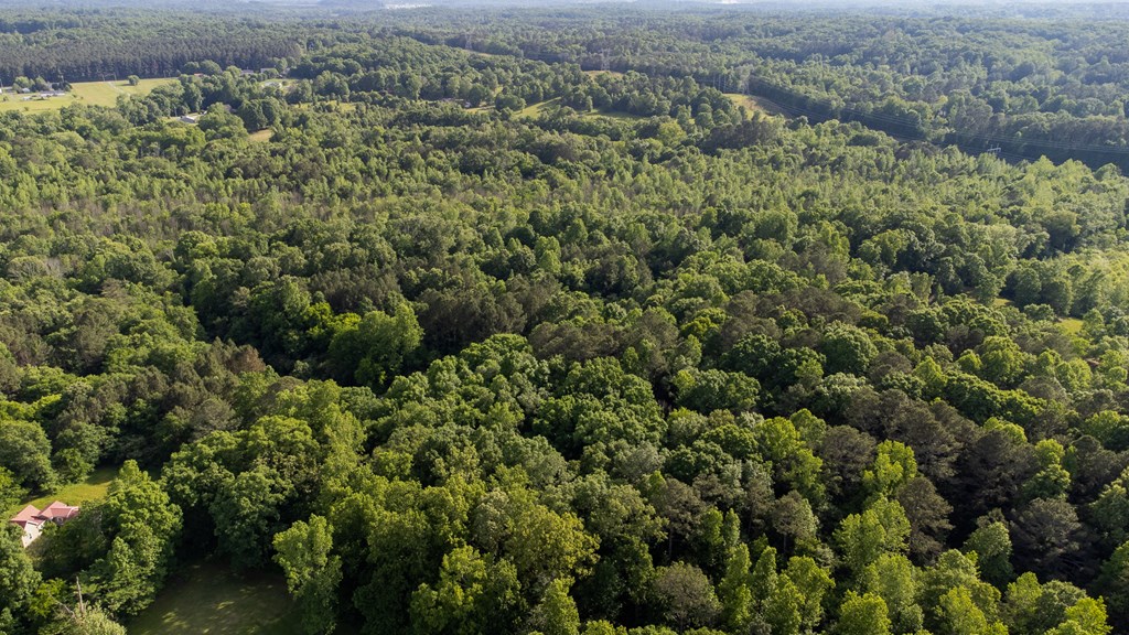 0 Southeast Womack Road Dalton, GA 30721 - Photo 7 of 11