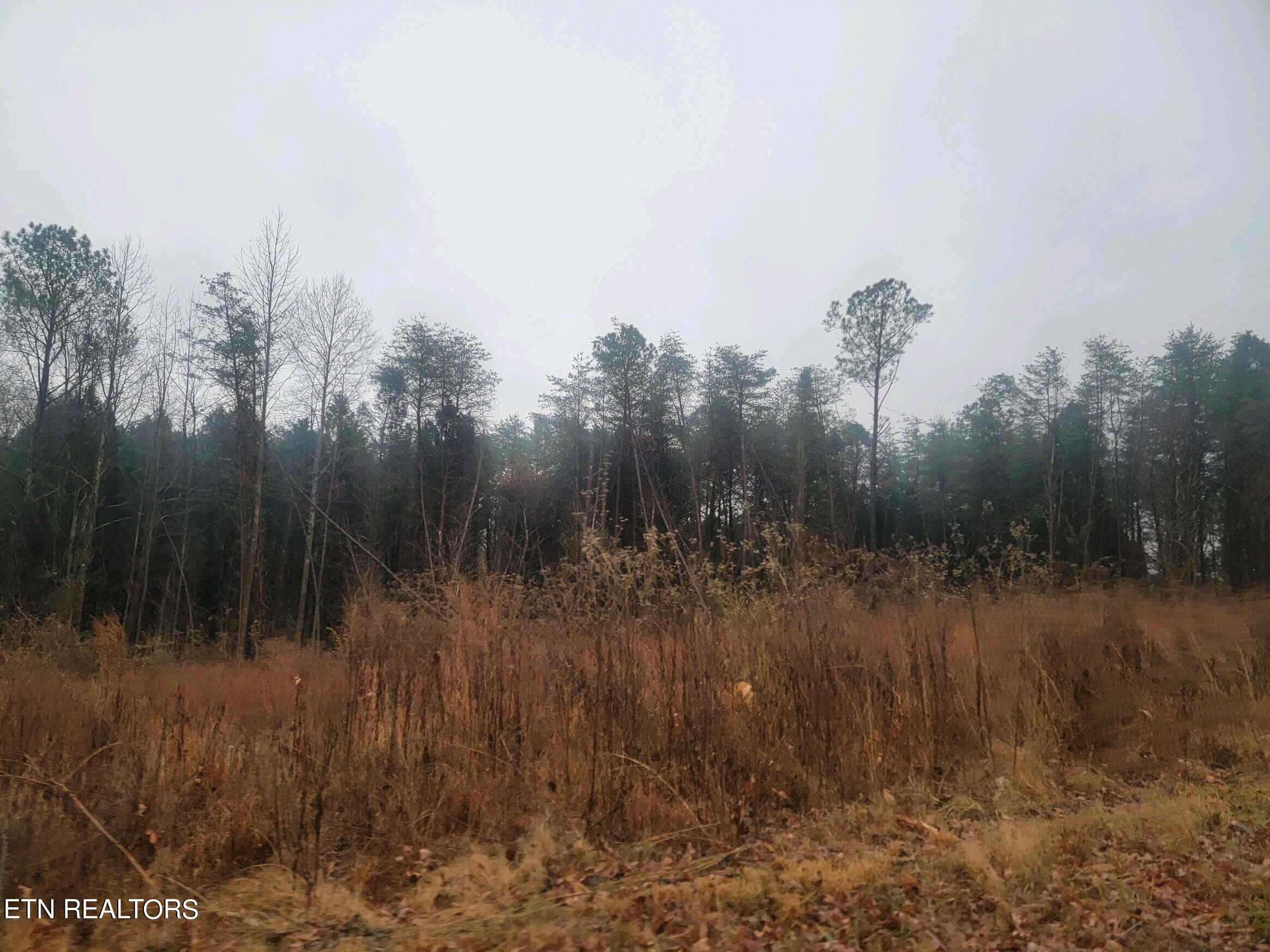 Lot 69-70 Kings Hill Road Spring City, TN 37381 - Photo 1 of 11 70 kh 1