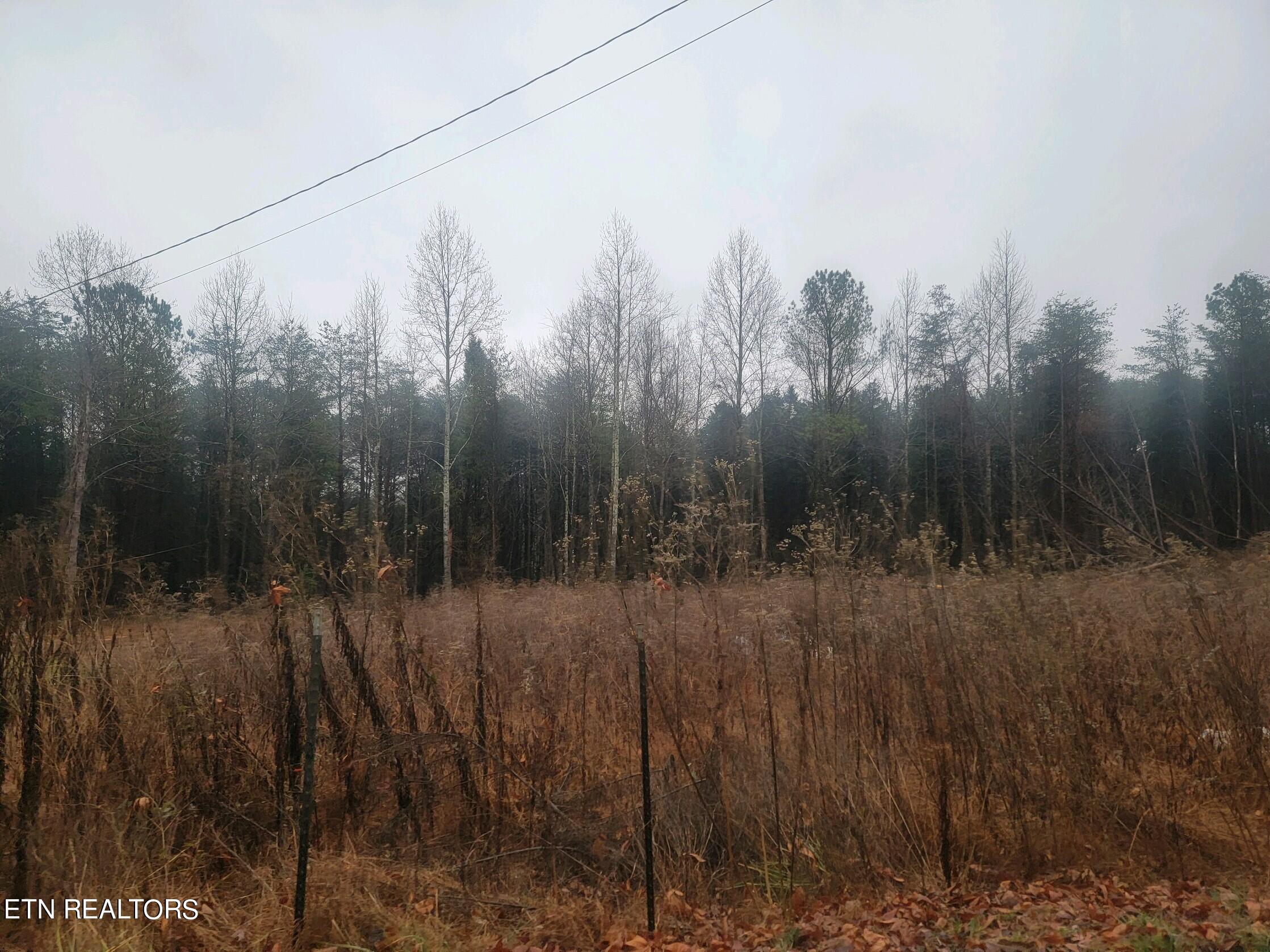 Lot 69-70 Kings Hill Road Spring City, TN 37381 - Photo 2 of 11 70 kh