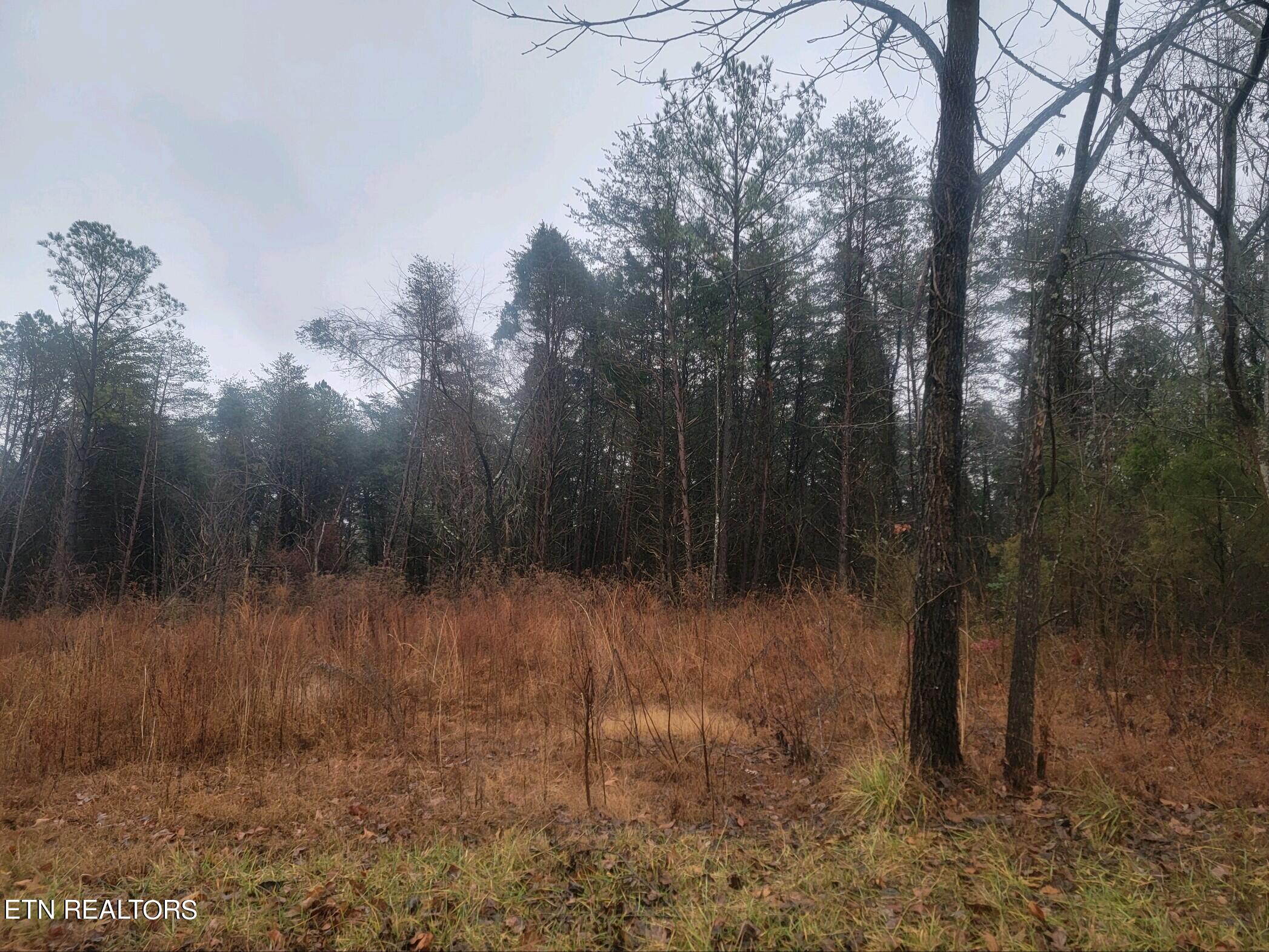 Lot 69-70 Kings Hill Road Spring City, TN 37381 - Photo 3 of 11 lot 70