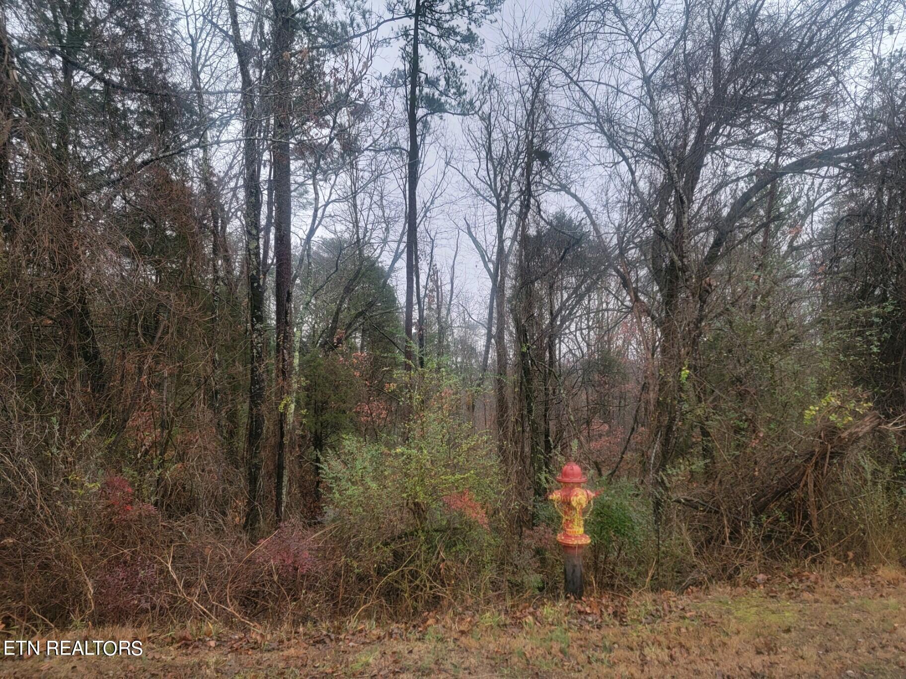 Lot 69-70 Kings Hill Road Spring City, TN 37381 - Photo 5 of 11 lot 69