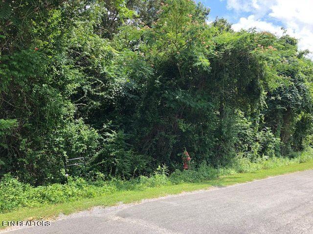 Lot 69-70 Kings Hill Road Spring City, TN 37381 - Photo 6 of 11 1
