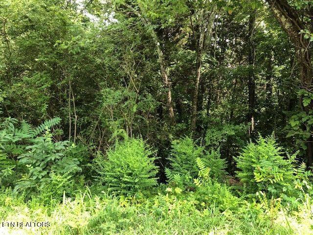 Lot 69-70 Kings Hill Road Spring City, TN 37381 - Photo 8 of 11 3