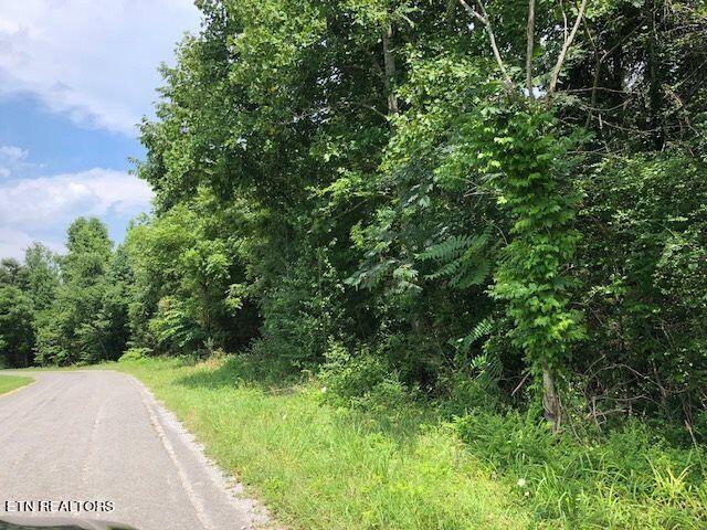 Lot 69-70 Kings Hill Road Spring City, TN 37381 - Photo 9 of 11 4