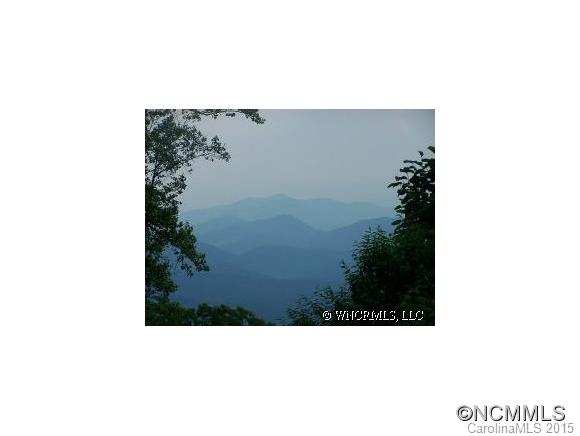 460 Barn Cove Road Clyde, NC 28721 - Photo 2 of 24