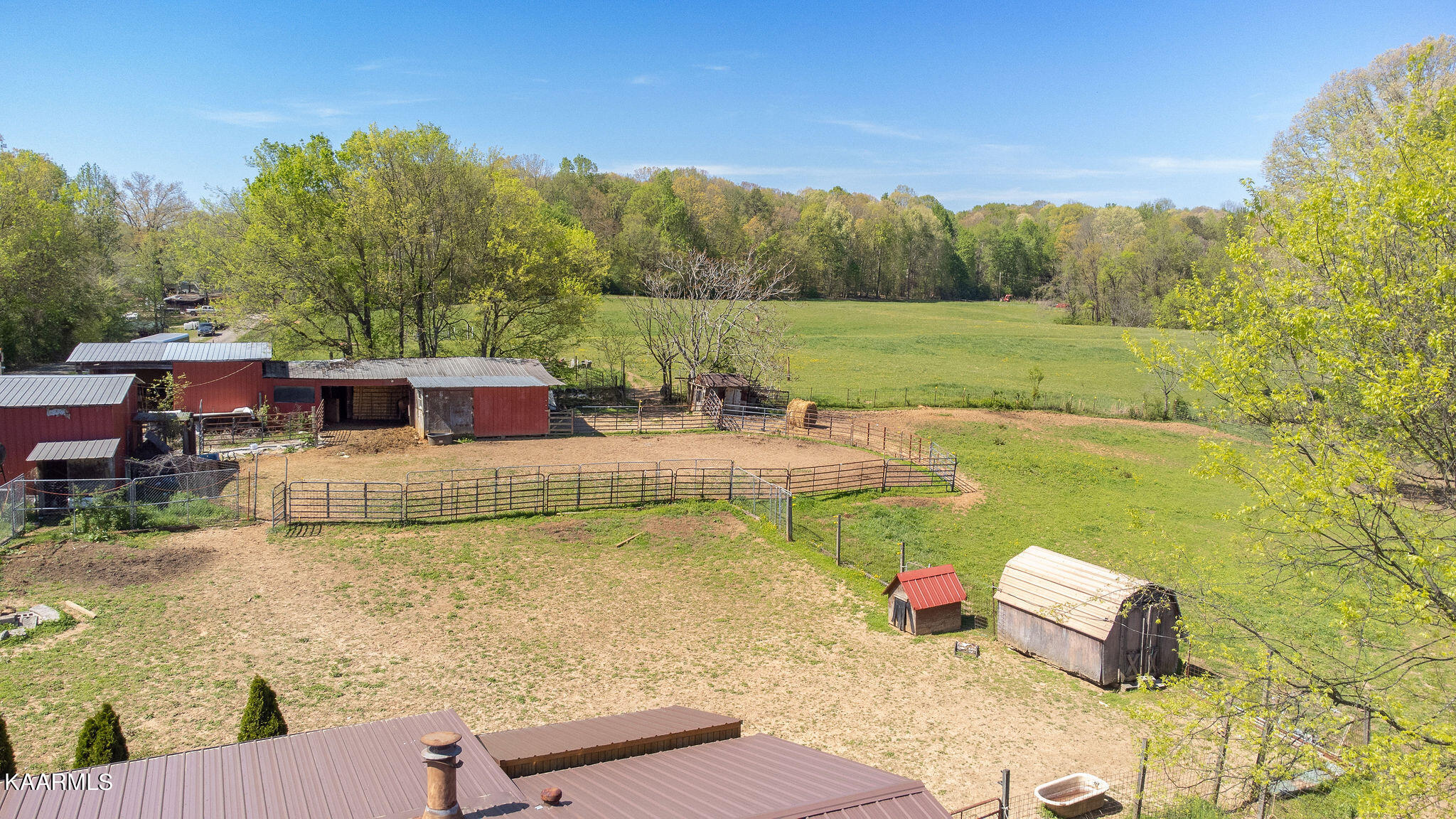 2898 White Road Loudon, TN 37774 - Photo 26 of 31 Back yard