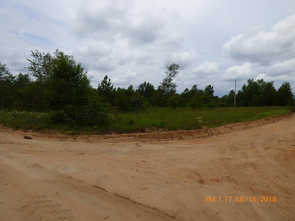 0 Gunter Pond Road Wagener, SC 29164 - Photo 1 of 2