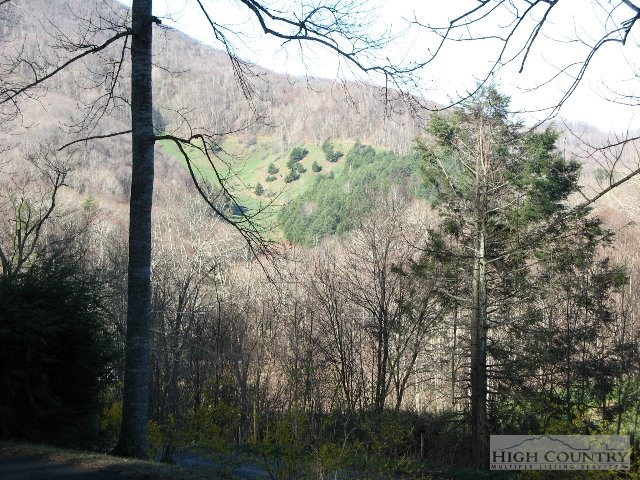 570 Hidden Valley Road Creston, NC 28615 - Photo 30 of 32 Gallery Image 30